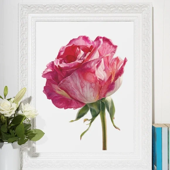 Watercolor Single Pink Rose Wall Art Print, Unframed - Delicate Floral Elegance - Picture 6 of 6